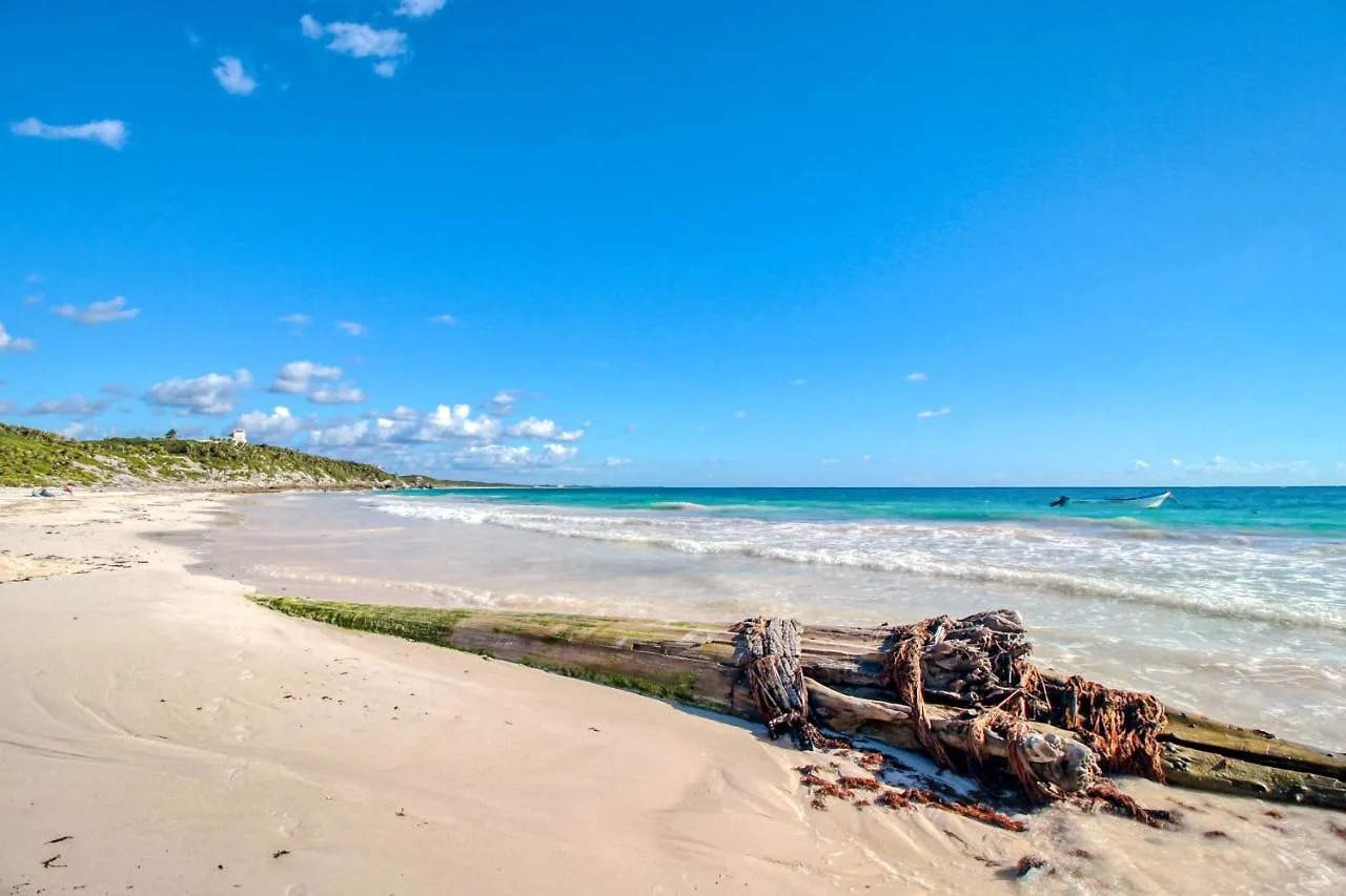 Appartamento Studios At Central Park Tulum